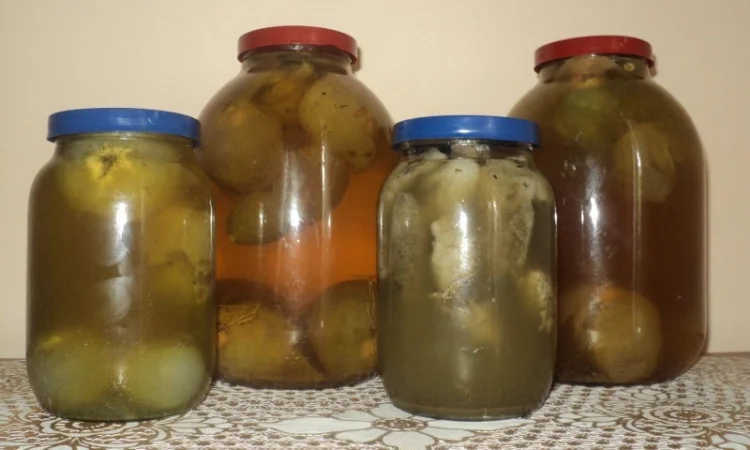 Настойка лечебного гриба "Веселка" 1л - фото № 1