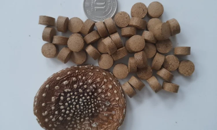 Гранулы пантерного мухомора - фото № 1