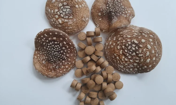 Гранулы пантерного мухомора - фото № 2