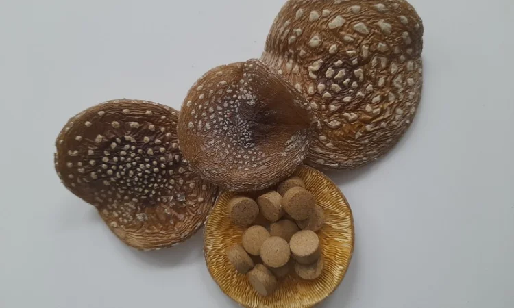 Гранулы пантерного мухомора - фото № 3