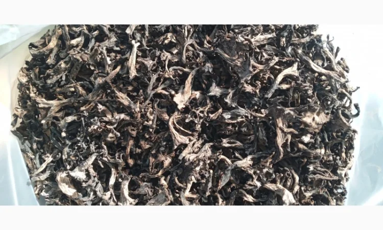 Чорні лисички на продаж - фото № 1