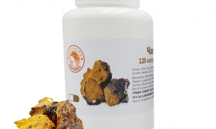 Гриб “Чага” в капсулах 120 шт. - фото № 1