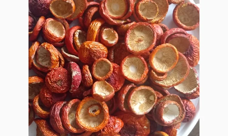 Продаю мухомор 100 грамм - фото № 1