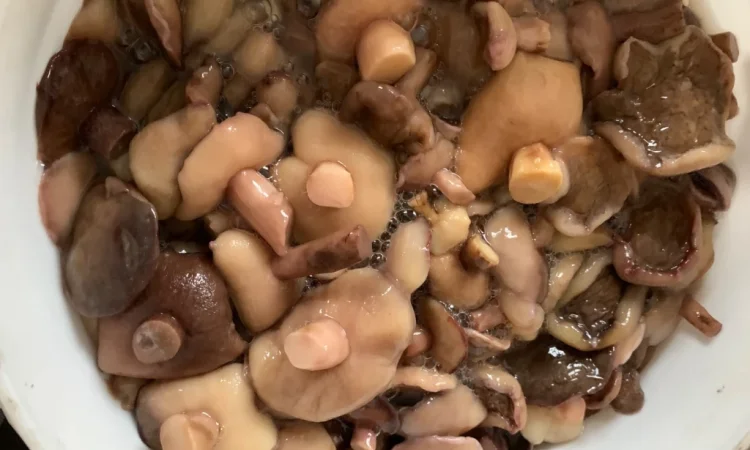 Продаж варено-солених грибів - фото № 4