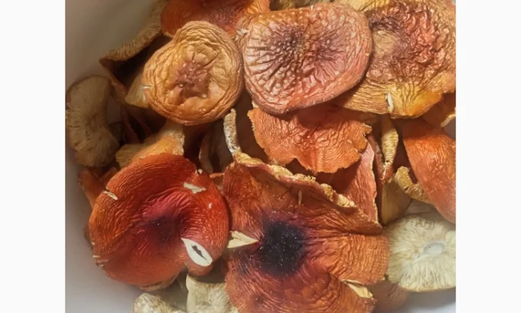 Червоний мухомор, 3500 за кілограм - фото № 1