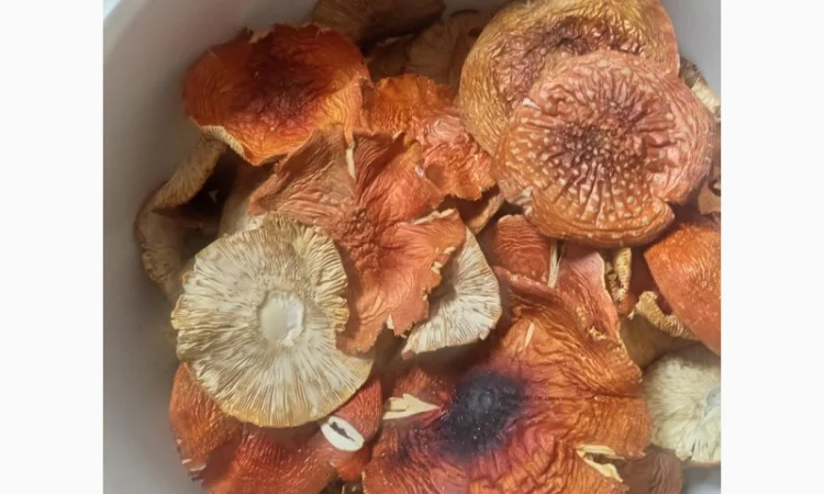 Червоний мухомор, 3500 за кілограм - фото № 2