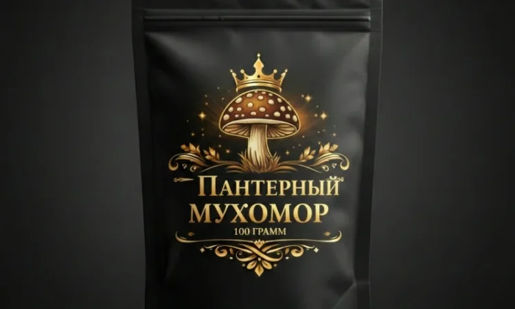 Пантерний мухомор - цілі шапки преміум-якості - фото № 1