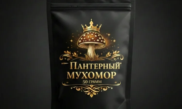 Пантерний мухомор - цілі шапки преміум-якості - фото № 2