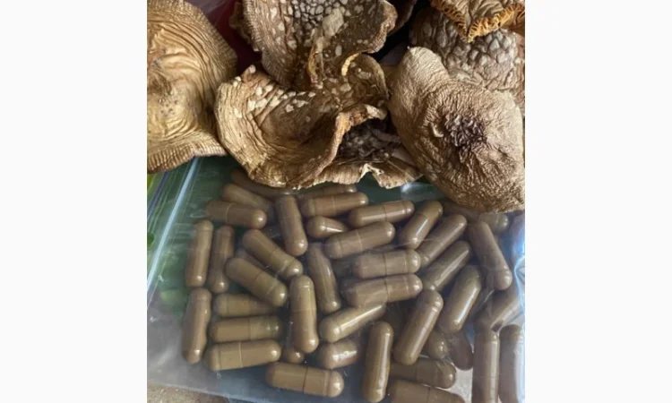 Мухомор пантерній в капсулах для покращення настрою - фото № 1