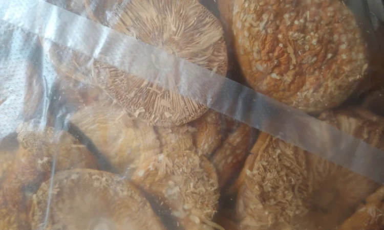 Продаж Мухомора Червоного | Красного Мухомора - фото № 5