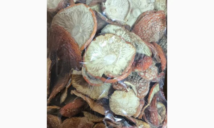 Продаю Мухомор Червоний, 15 кг - фото № 1