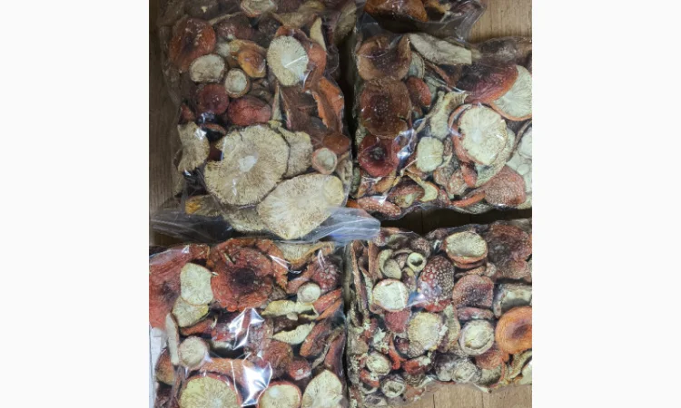 Продаю Мухомор Червоний, 15 кг - фото № 3