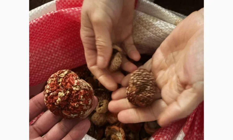 Мухомор червоний продажа - фото № 4