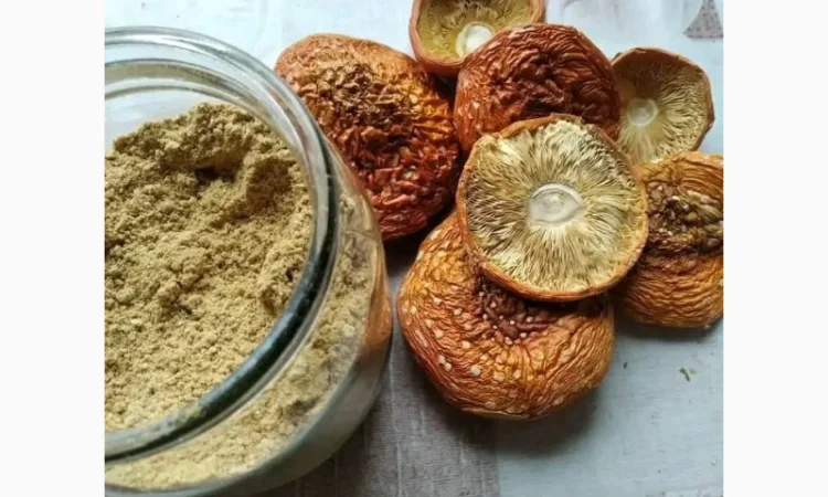 Мелений мухомор високої якості - фото № 5