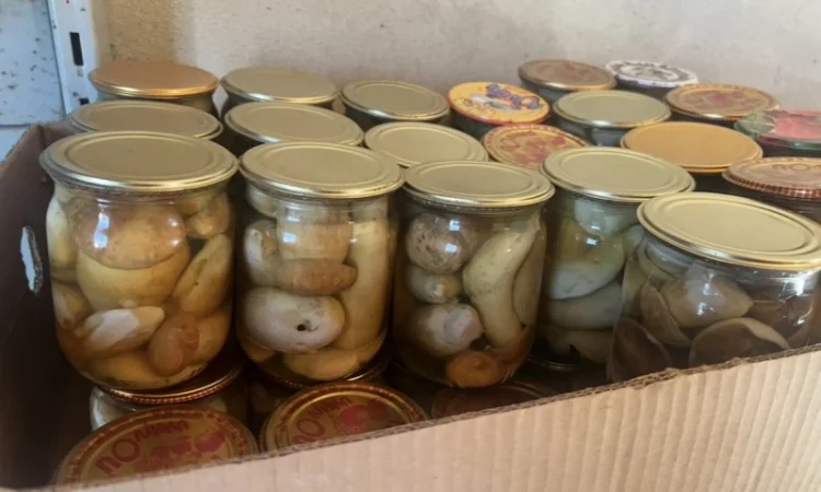 Продаж маринованих білих грибів - фото № 1