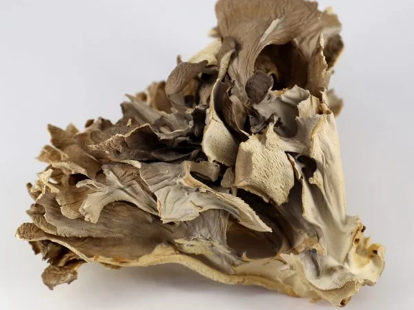 Продаж мухомора 1 сорту - фото № 2