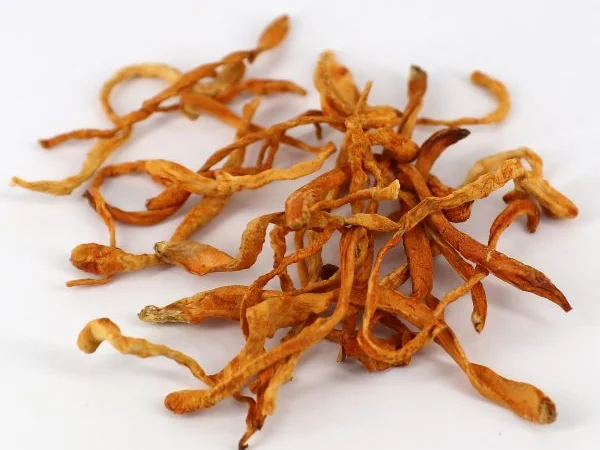 Продаж мухомора 1 сорту - фото № 7