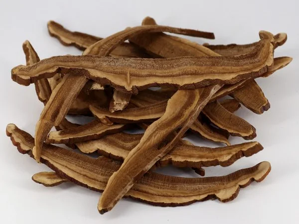 Продаж мухомора 1 сорту - фото № 8