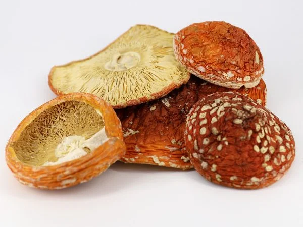 Продаж червоного мухомора та інших грибів - фото № 1