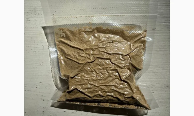 Продажа Мухомора Королівського - фото № 10