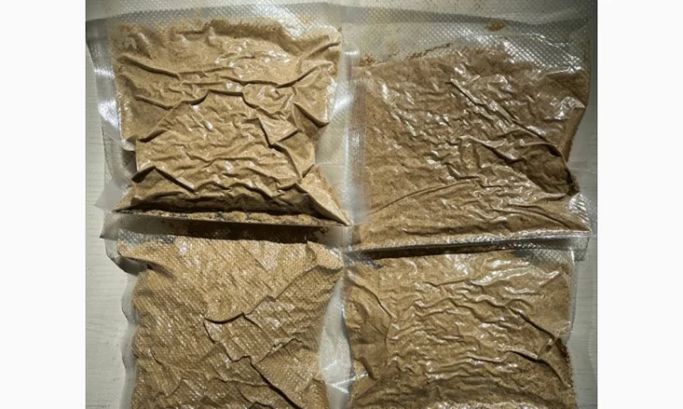 Продажа Мухомора Королівського - фото № 12