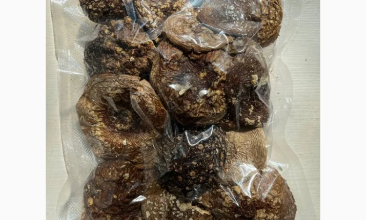 Продажа Мухомора Королівського - фото № 6