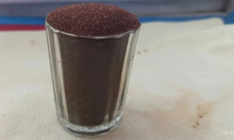 Продам семена табака ,махорки!!! - фото № 1