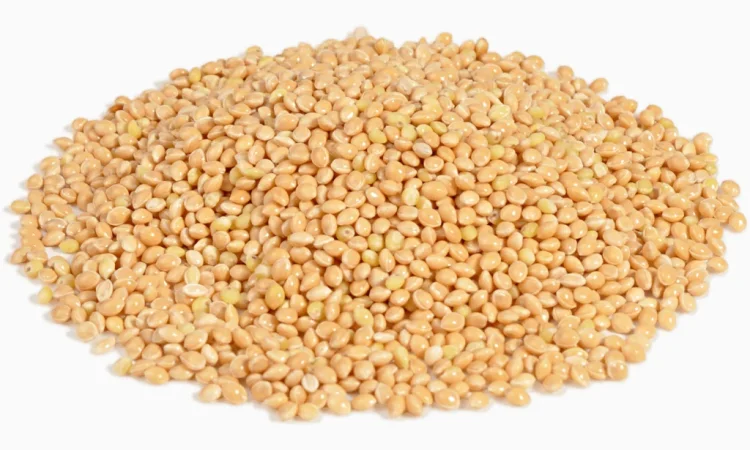 Купую просо. Самовивіз із господарства - фото № 1