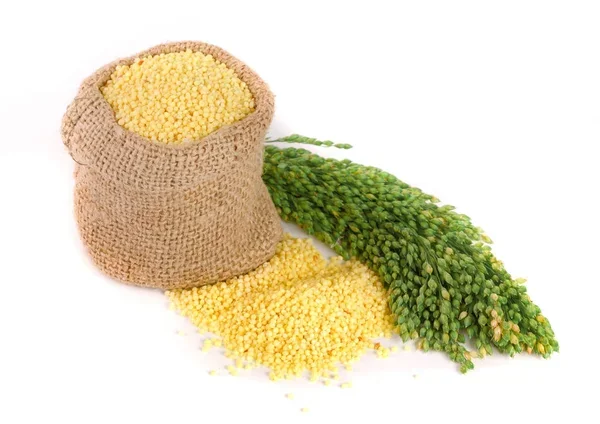 Покупка красного проса - фото № 1