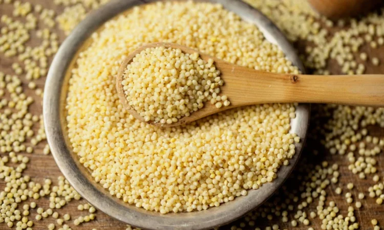 Закупка проса (жовте) в Чернигове - фото № 1