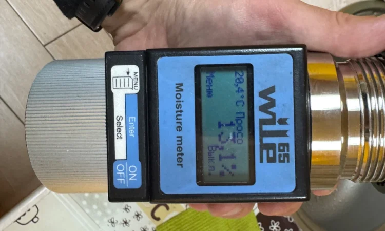 Продажа желтого проса - фото № 2