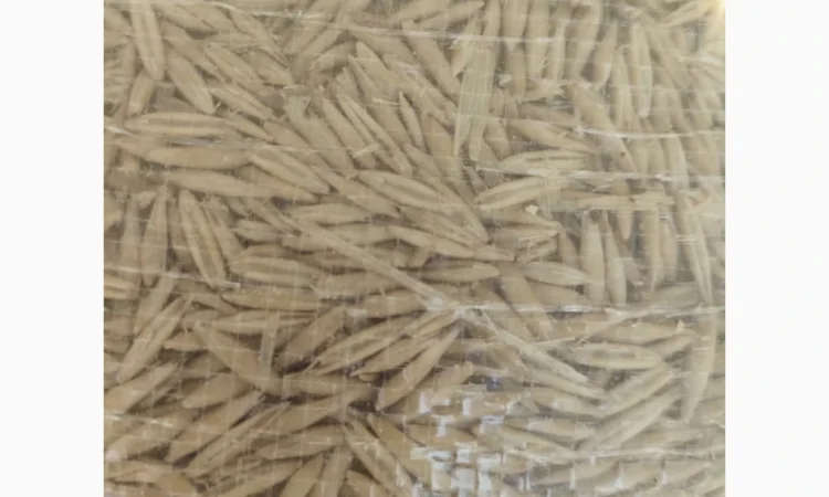 Покупка овса з пониженою натурою - фото № 1