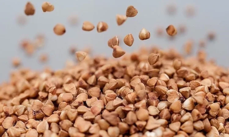 Пропонується високоякісне зерно гречки - фото № 1