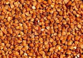 Гречка в больших объемах - фото № 1