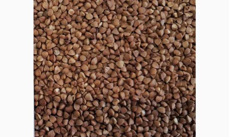 Продается гречневая крупа оптом - фото № 1