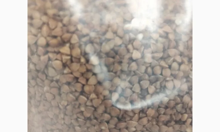 Екорівська гречка - натуральный продукт - фото № 1