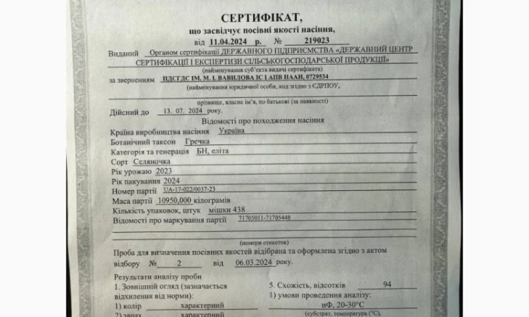 Продаж гречки сорту Селяночка - фото № 2