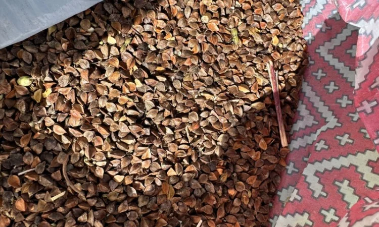 Покупка гречки від переробного підприємства - фото № 1