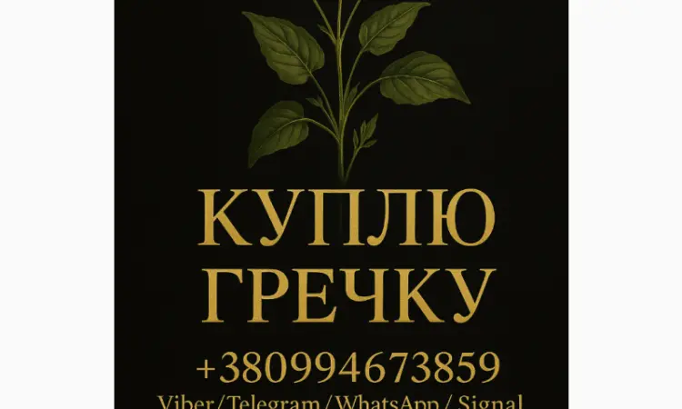 Куплю гречиху ! Дорого - фото № 1