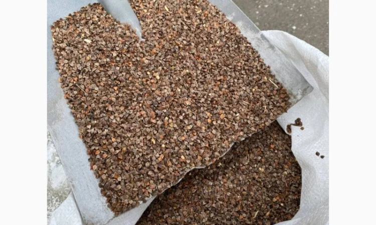 Гречка неочищенная, мешки по 30 кг - фото № 2