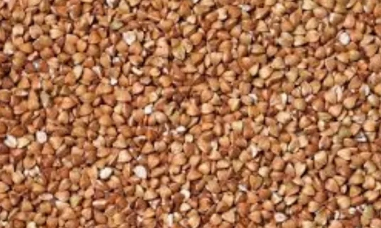 Покупка гречки різних обсягів - фото № 1