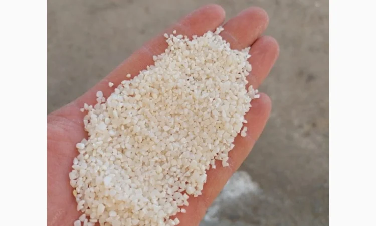 Сечка рисова на продаж - фото № 1