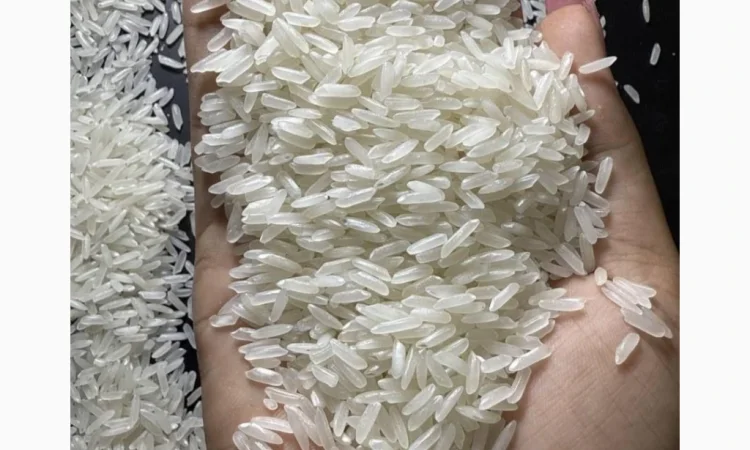 Преміальний жасминовий рис оптом - фото № 1