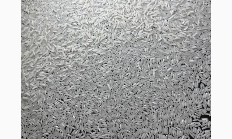 Ароматний рис від виробника - фото № 1