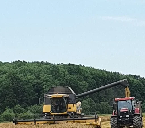 Продаж насіння ячменю ГУЛЛІВЕР - фото № 1