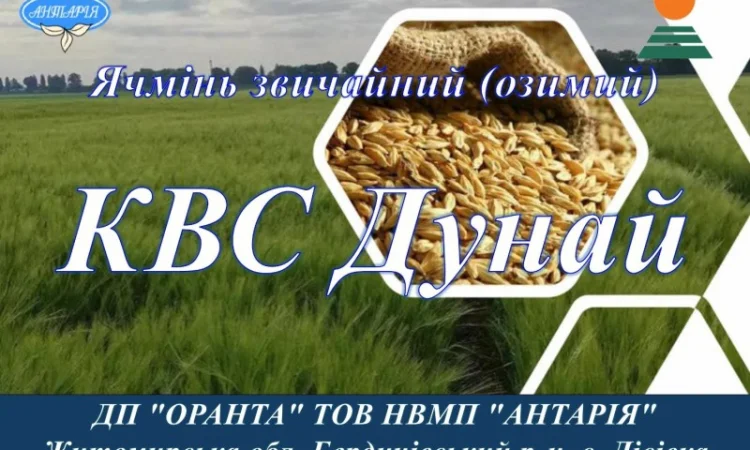 Продаж насіння ячменю КВС Дунай - фото № 1