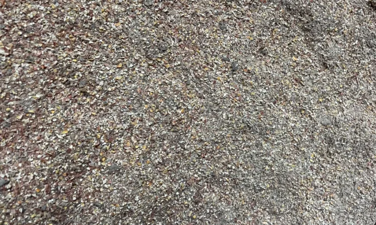 Відходи кукурудзи після сушки - фото № 5