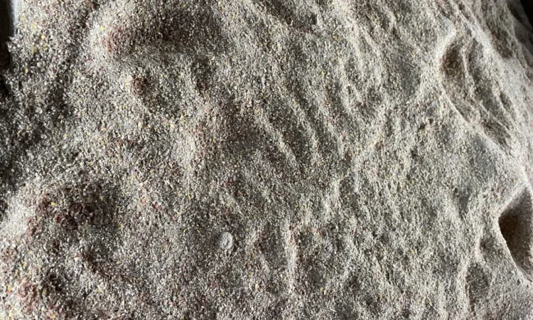 Відходи кукурудзи після сушки - фото № 1