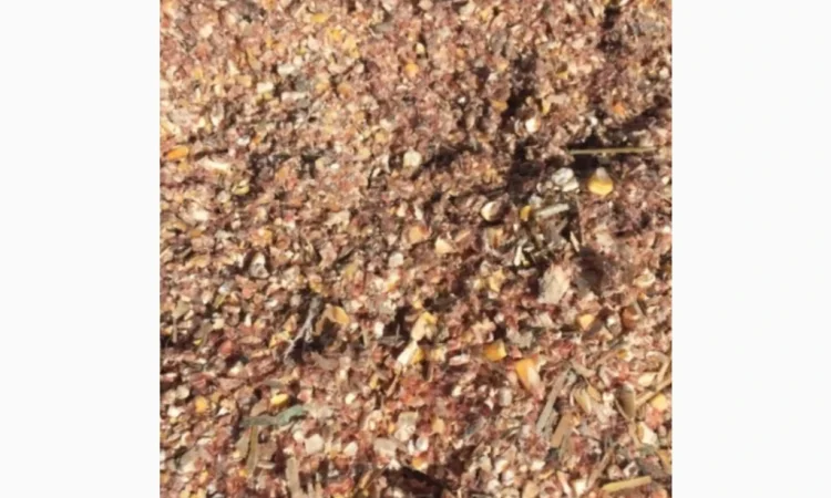 Покупаем кукурузную муку - фото № 1