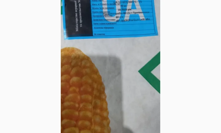 Кукурудза Пивиха 25 кг, сорт Хотин - фото № 1